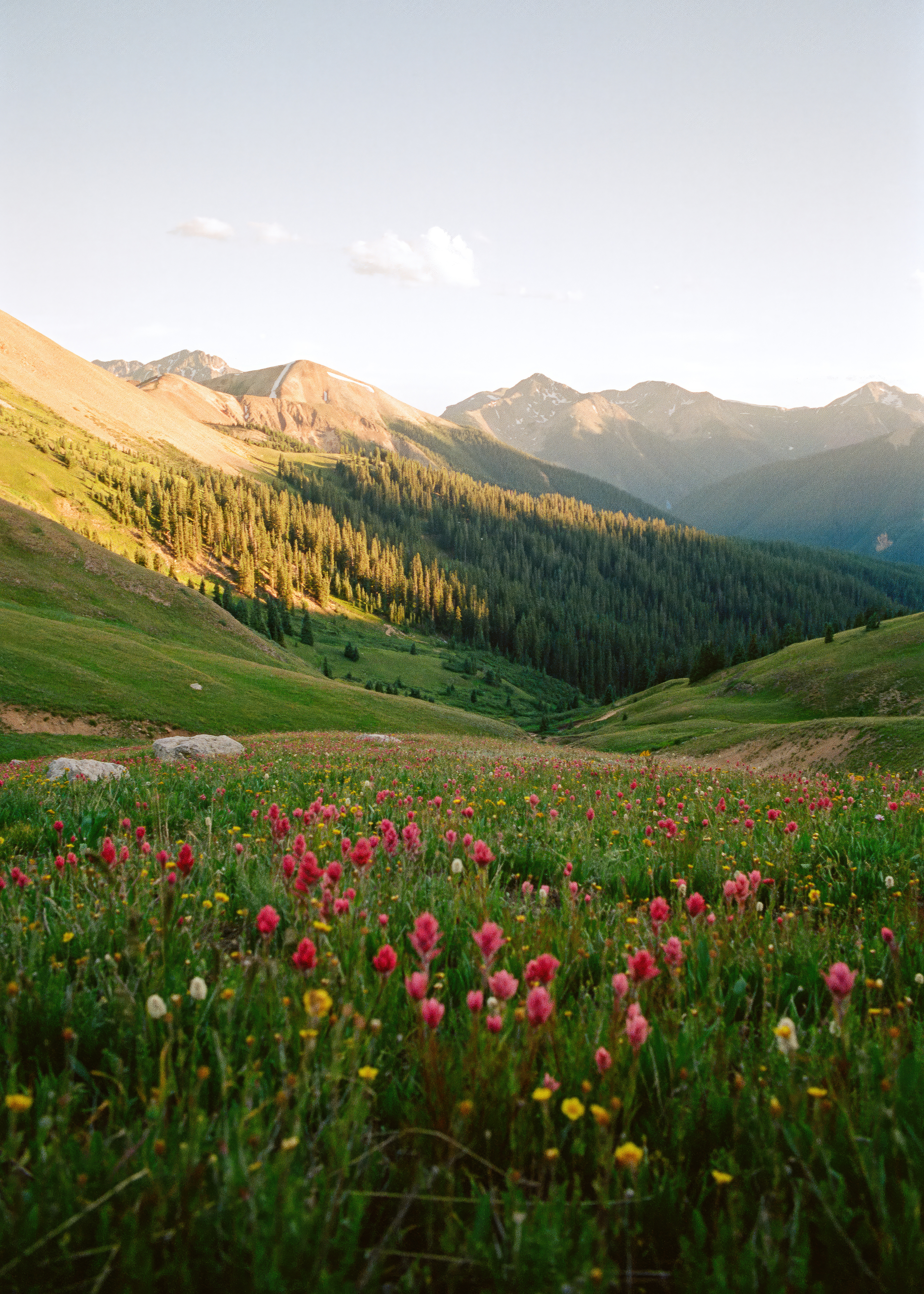 プロ用カラーフィルム | Kodak Alaris